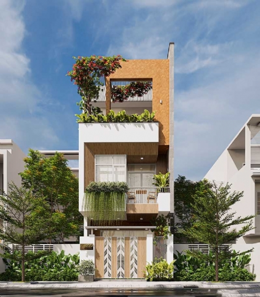 Phong thủy nhà ở cho người mệnh mộc hành trình kiến tạo không gian sống xanh và thịnh vượng